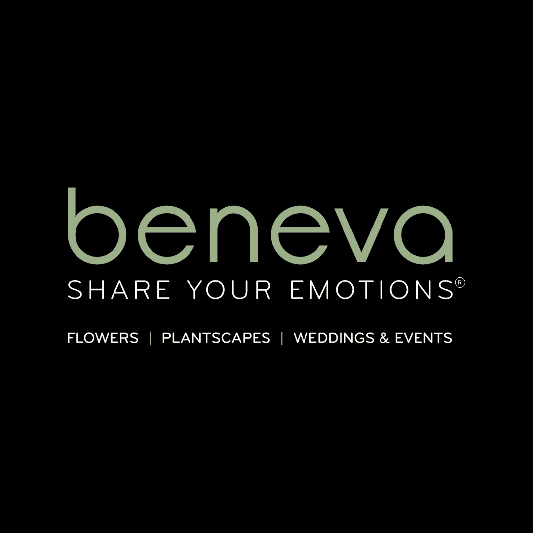 beneva over black